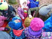 Výprava do lesa za zvířátky